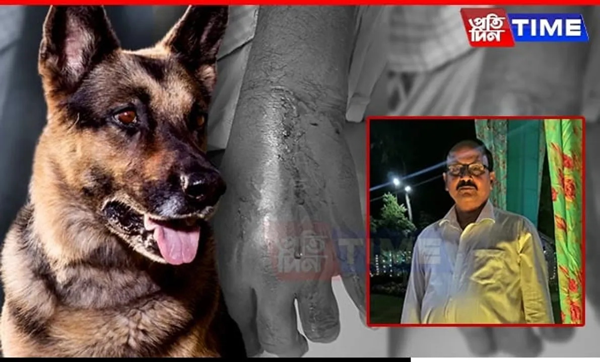 Retired Teacher Dies After Dog Attack in Guwahati
